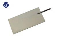 الکترود پلاتین برای یونیزر آب